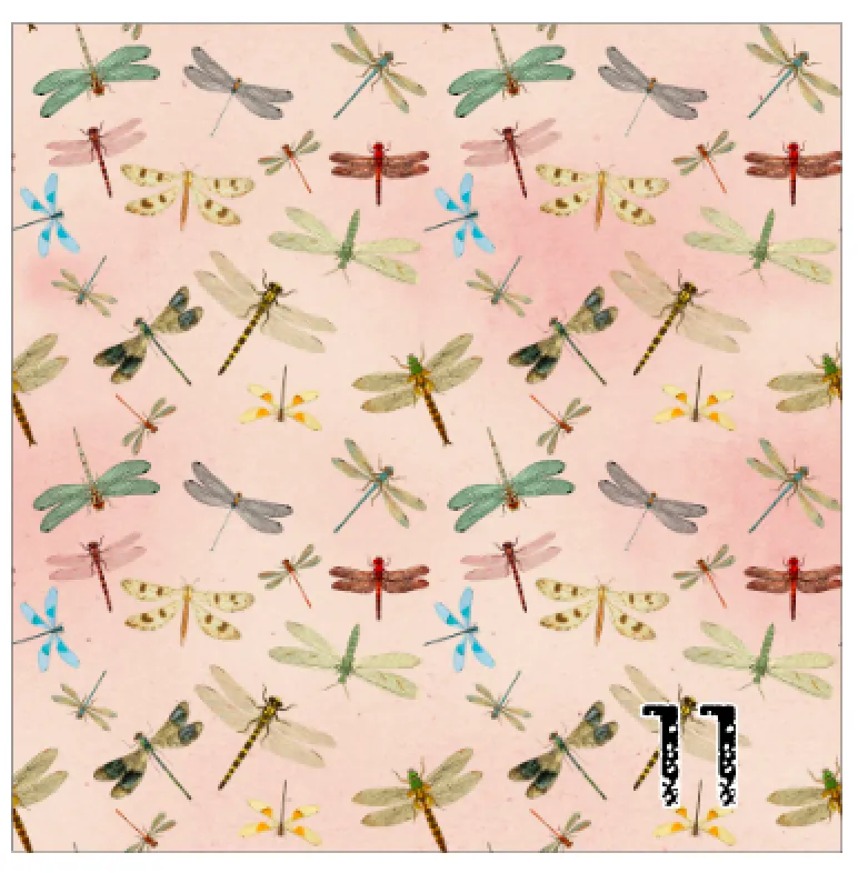 Printed Heat Transfer Vinyl HTV VINTAGE DRAGONFLIES